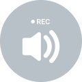 f100 recording mode voice icon